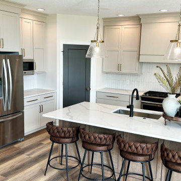 Accessible Beige Painted Kitchen with Birch Almond Accents