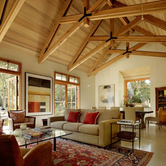 Traditional Cathedral Ceiling Living Room Design Ideas, Remodels