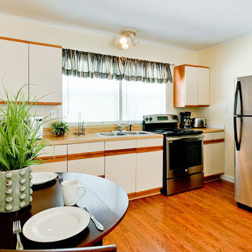 Sand Dollar Cottages - Parrot