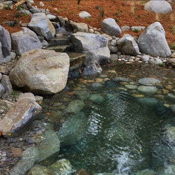 French Town Watering Hole