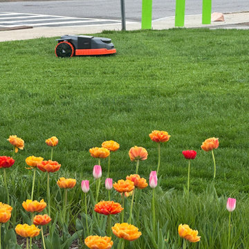 Robotic Lawn Mowers
