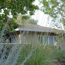 Front Door/Yard