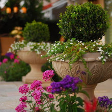 planters