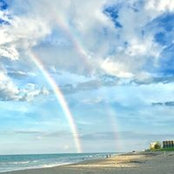 Tara Donleavy's photo