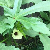 Tracey Moore's photo