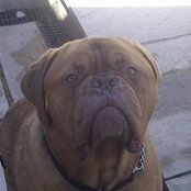 Connor Cullen's photo