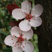Cynthia emmanuel's photo