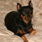 Jill DiBenedetto's photo