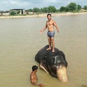 Sumeet Chadha's photo