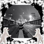 Rachel Gallo's photo