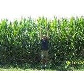 Patrick Taft's photo