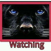 Kimberly White's photo