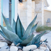 Landscape Ideas