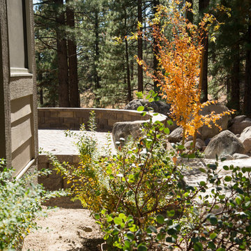 Forest home backyard renovation