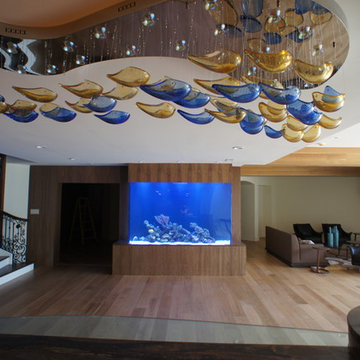 Basement aquarium