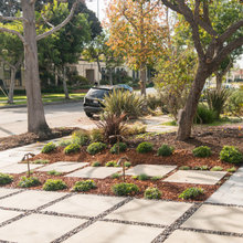 Garden ideas