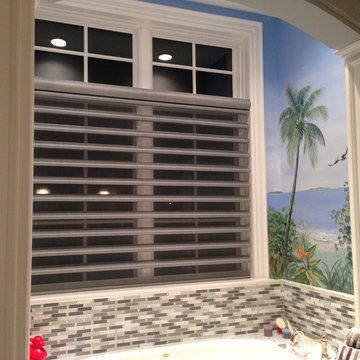 Hunter Douglas Pirouette Shades