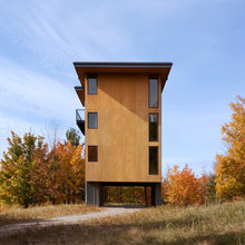 plywood siding
