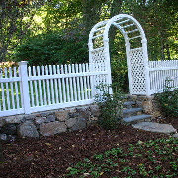 A New Backyard