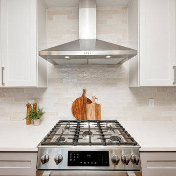 Devonshire Transitional Renovation