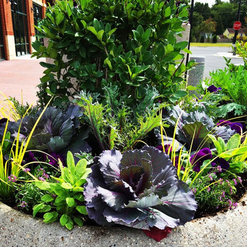 Fall Container Garden Design
