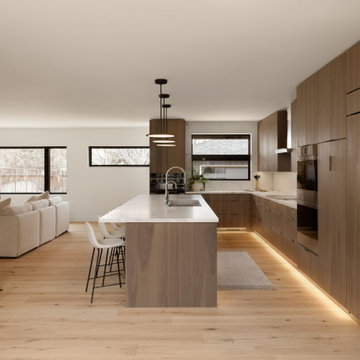 Newlands House - Whole Home Remodel