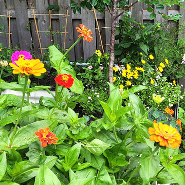 An Eco-conscious Garden: Permeable patio, walkway + Edible Garden