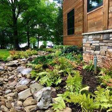 Dry creek bed: long view