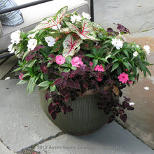 Front Entryway