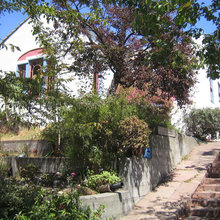 Mom & Dad Yard
