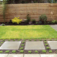 Modern Landscaping