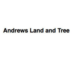 Andrews Land and Tree