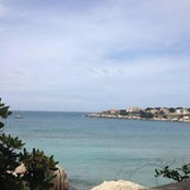 Clothilde Camus's photo