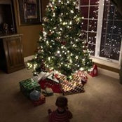 Ashley Rose's photo