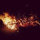 colleen_currietompke