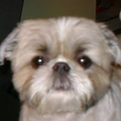 Maryann Bendoff's photo