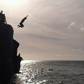 Evan Sellers's photo