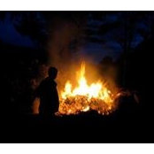 Catherine Tutter's photo