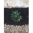 Greenbelt Patio & Landscape's profile photo