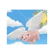Susan Bunten's photo