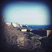 Eli Markarian's photo