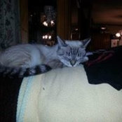Lora Moore's photo