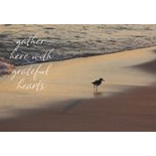 Kim Luallen's photo