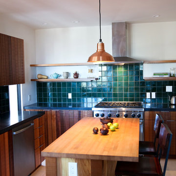 Berkeley Hills House