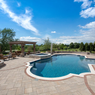 Elgin, IL Roman End Pool with Freeform Hot Tub
