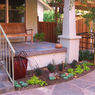 Aménagement d'un jardin avant méditerranéen l'automne.