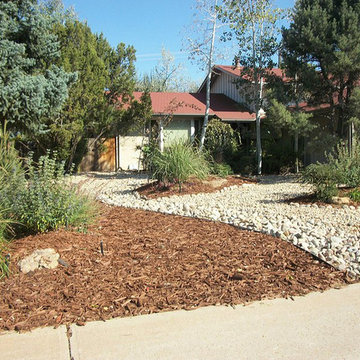 Front Yard Landscaping
