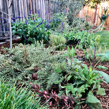 Backyard Remodel