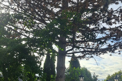 Inspiration for a landscaping in Seattle.