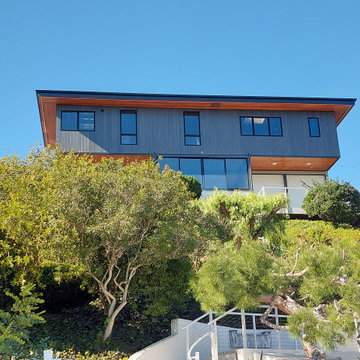 Mid-Century Modern Whole Home & Site Remodel in Newport Beach, CA